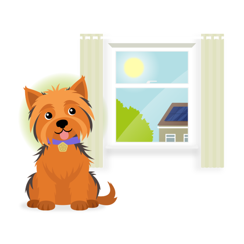 <p>Finance and grants</p>