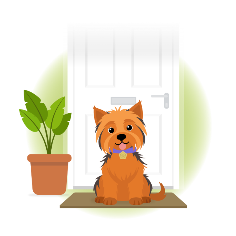 Log in to your account