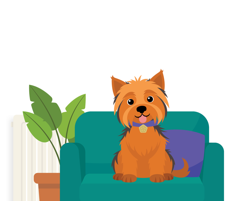 Wattson sat on an armchair in front of a radiator and house plant