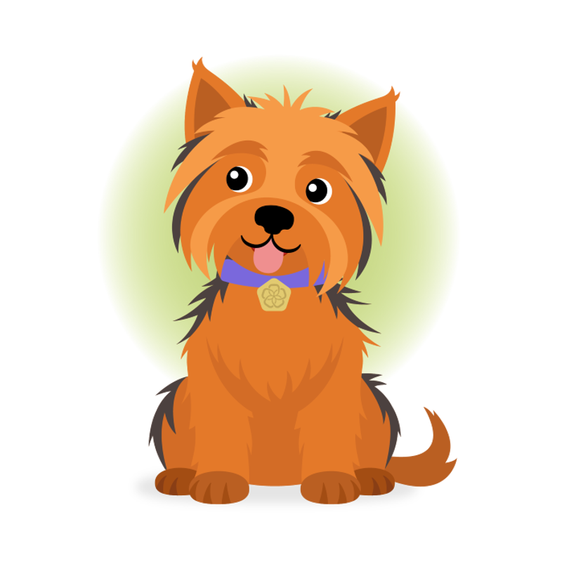 Speak to the experts