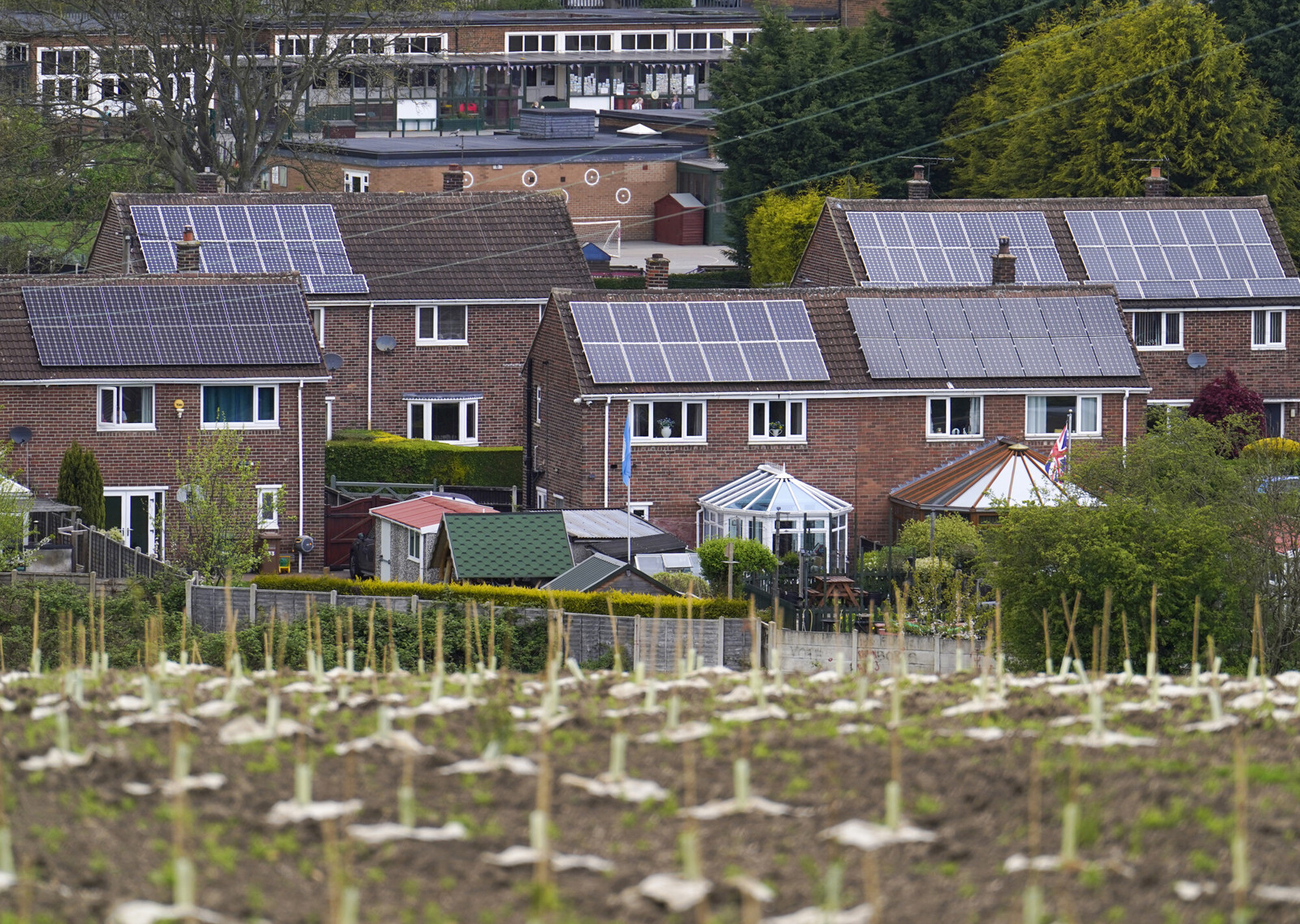 Solar collective buying scheme